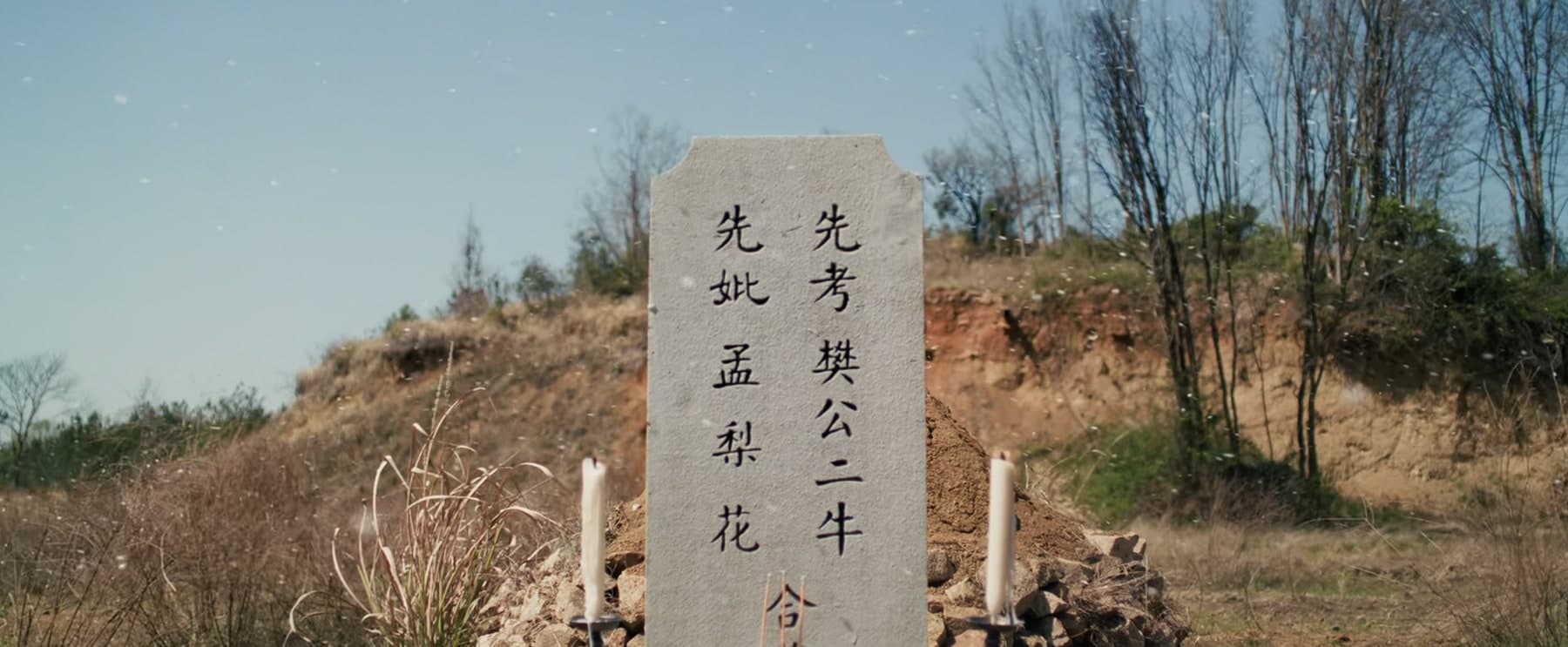 樊家の墓参り